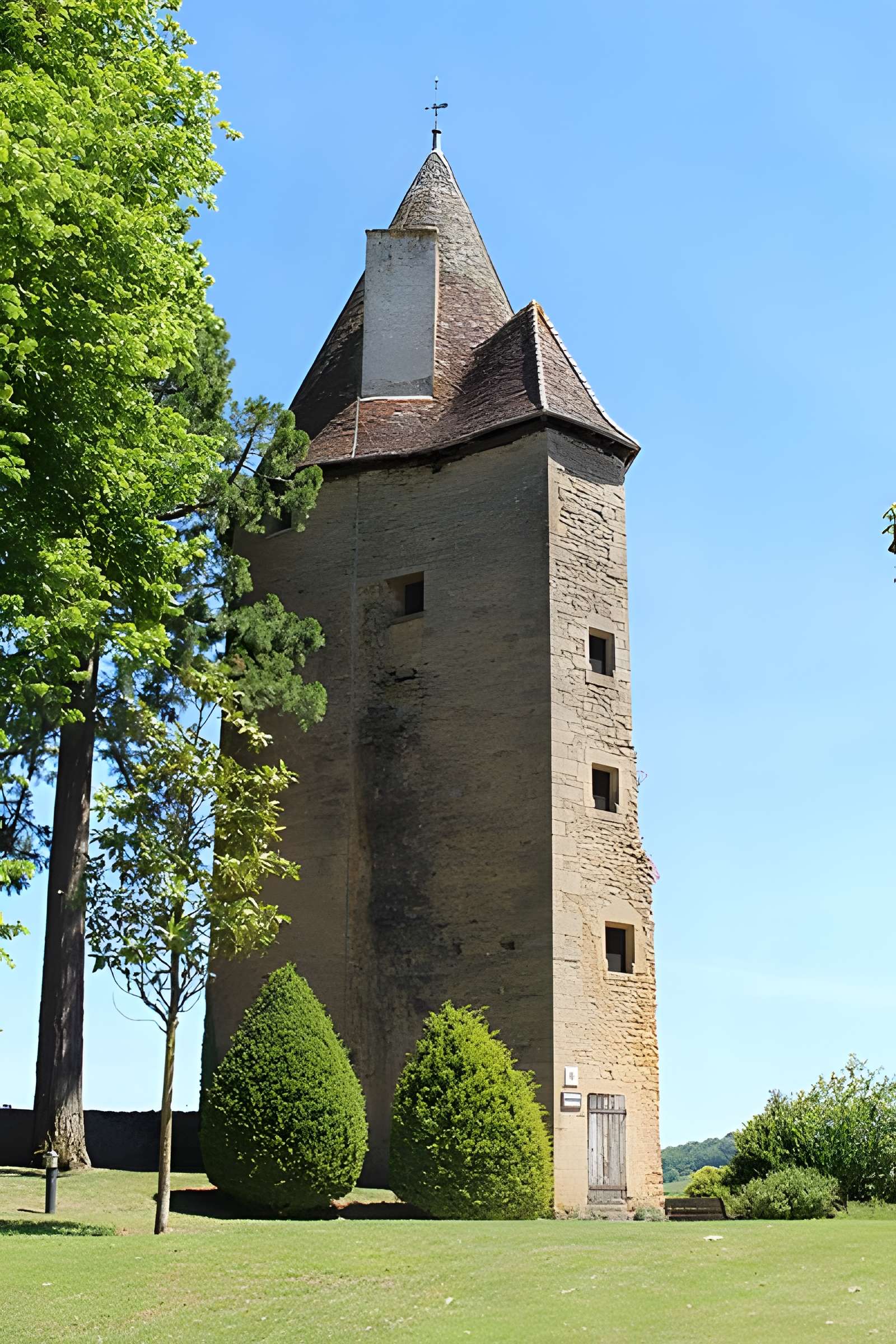 Château de Charles-Le-Téméraire