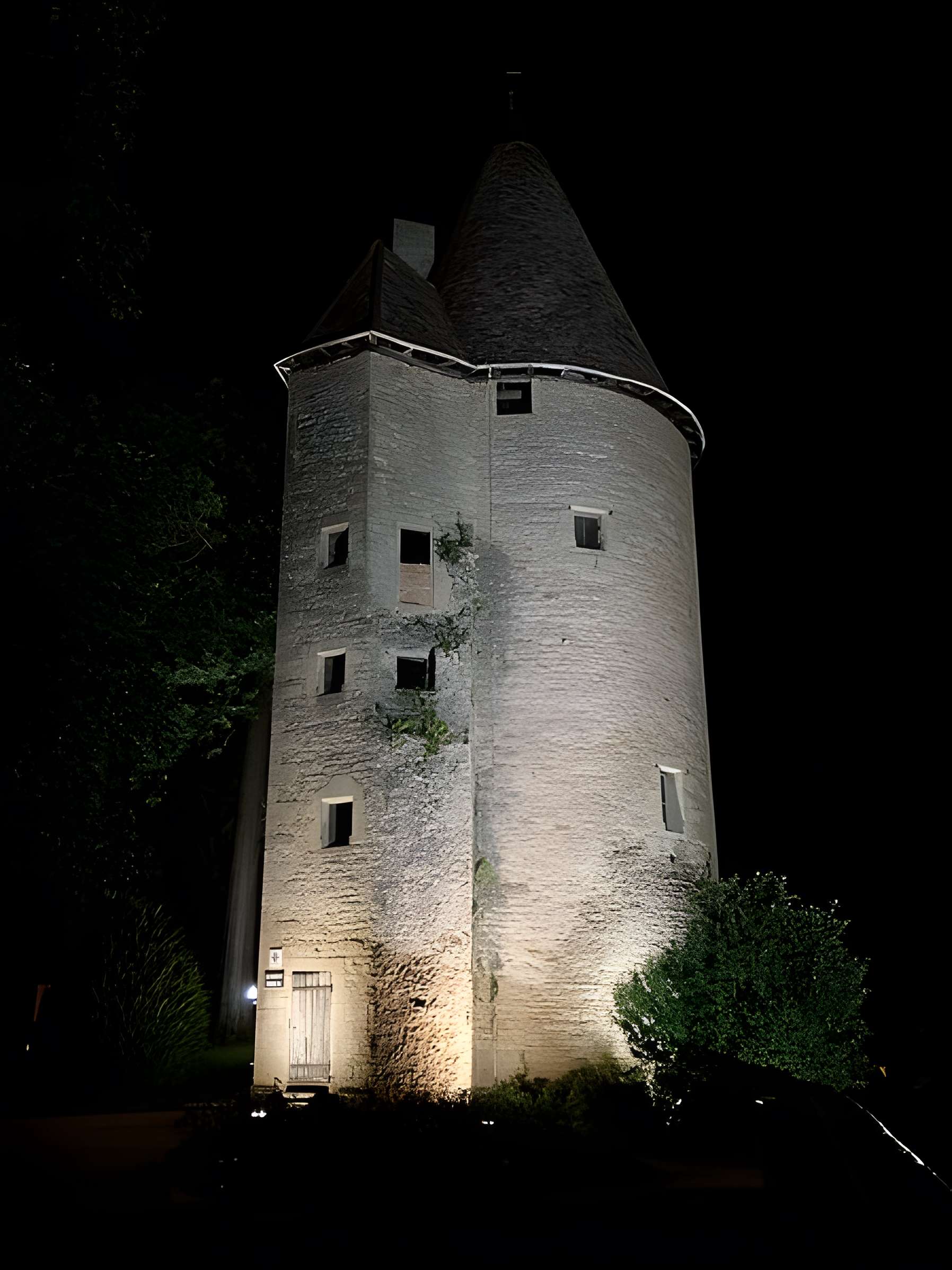 Château de Charles-Le-Téméraire