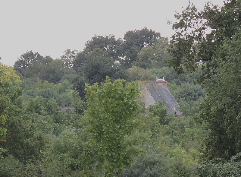 Photo de Manoir de Pantigné 