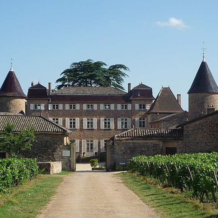 Photo de Château de Chasselas