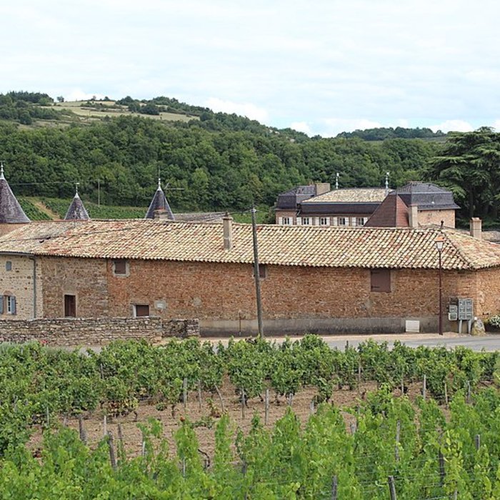 Photo de Château de Chasselas