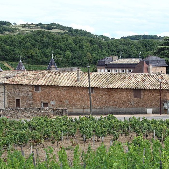 Photo de Château de Chasselas