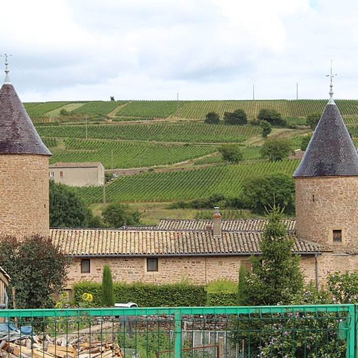 Photo de Château de Chasselas