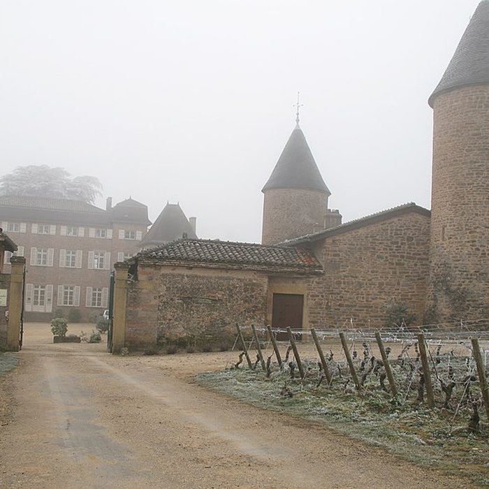 Photo de Château de Chasselas