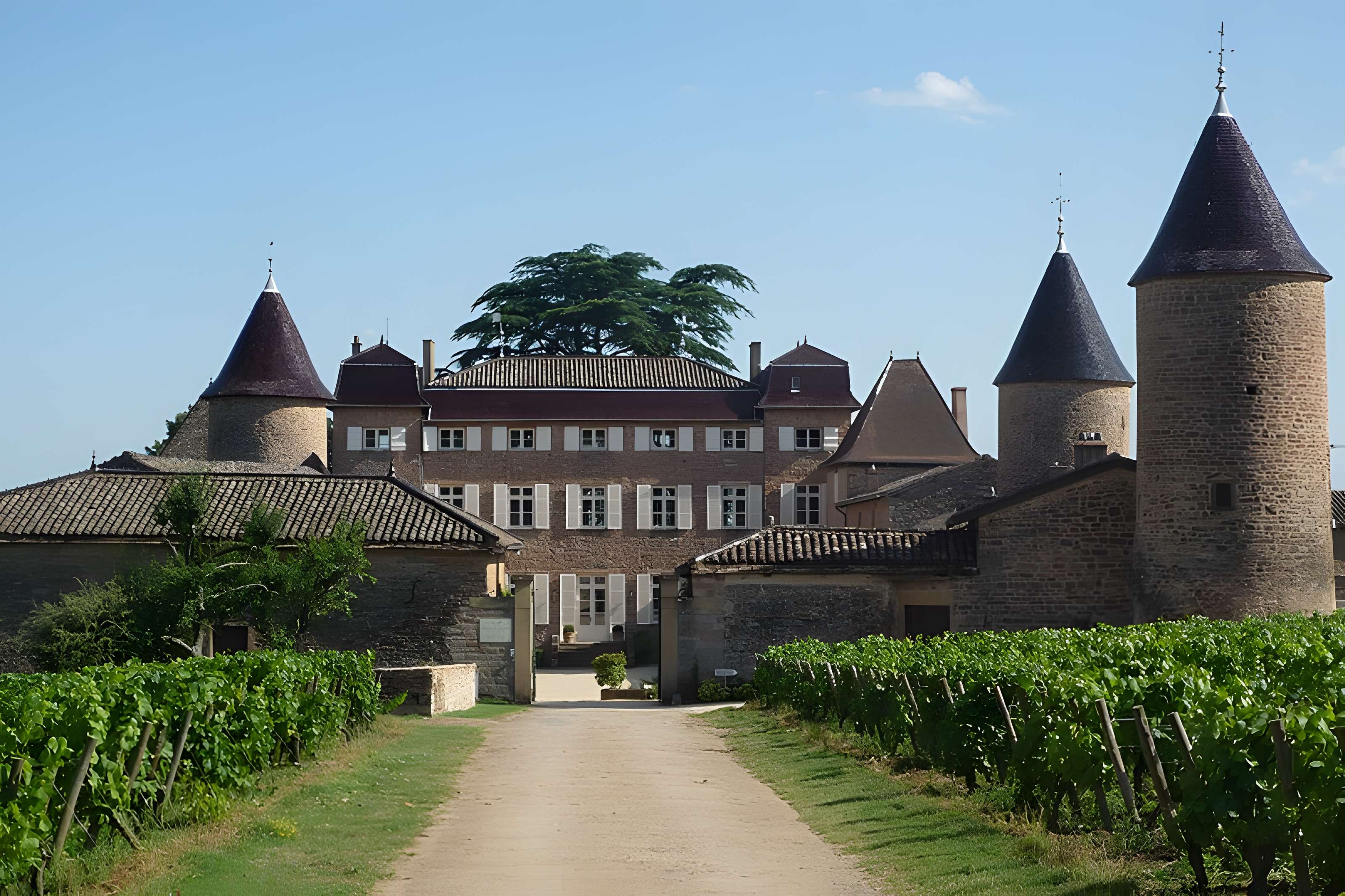 Château de Chasselas