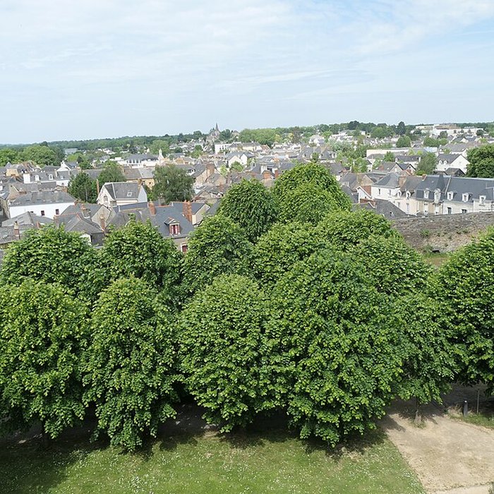 Photo de Château de Châteaubriant