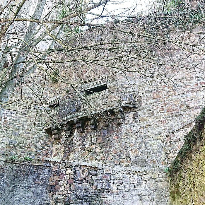 Photo de Château de Châteaubriant