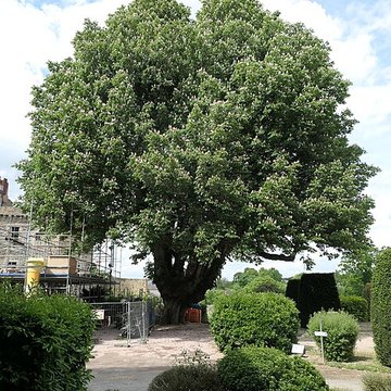 Château de Châteaubriant