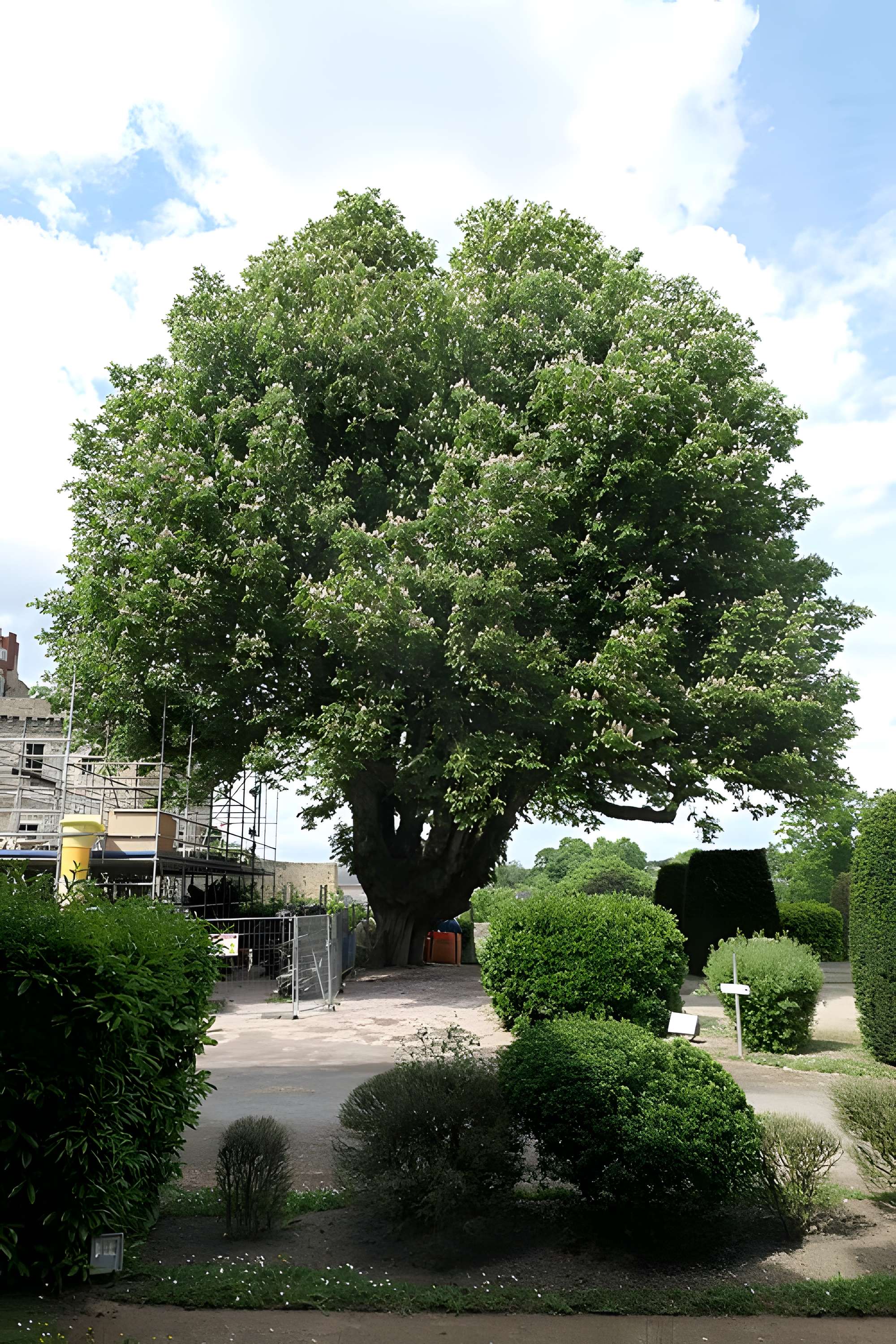 Château de Châteaubriant