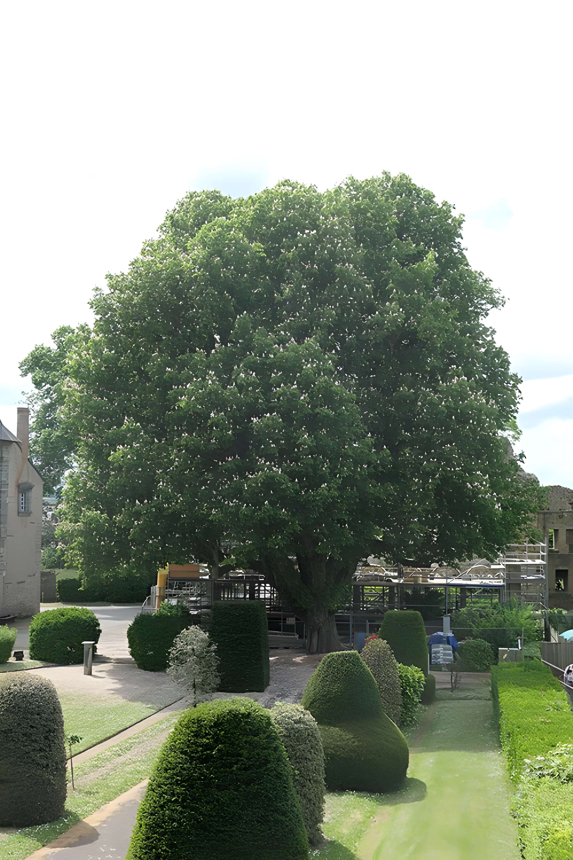 Château de Châteaubriant