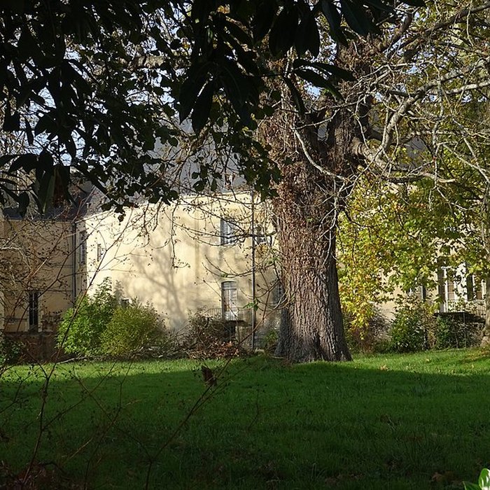 Photo de Château de Châteauneuf-sur-Cher