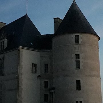 Château de Châteauneuf-sur-Cher