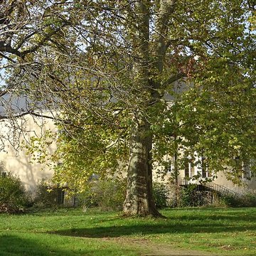 Château de Châteauneuf-sur-Cher