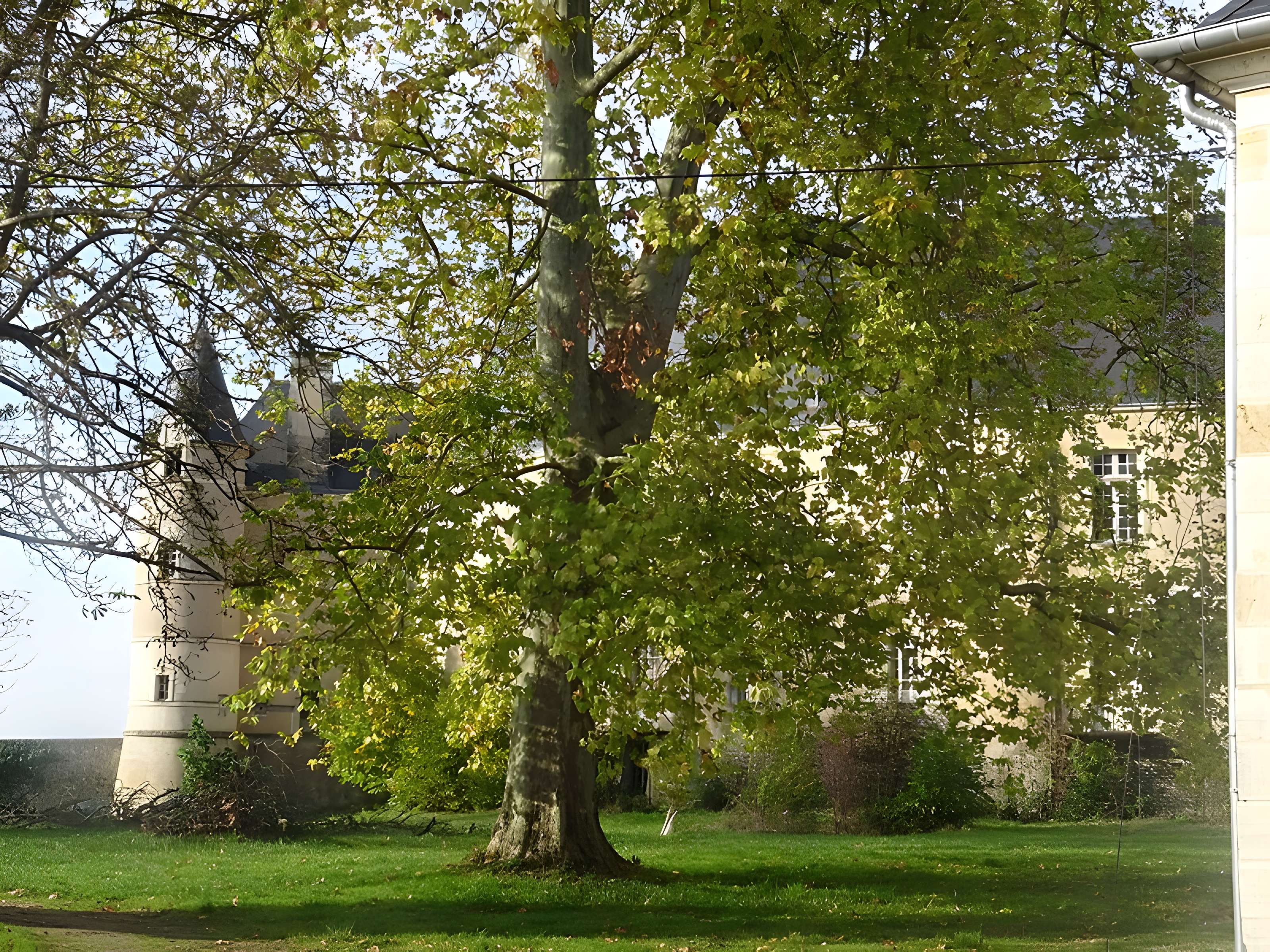 Château de Châteauneuf-sur-Cher