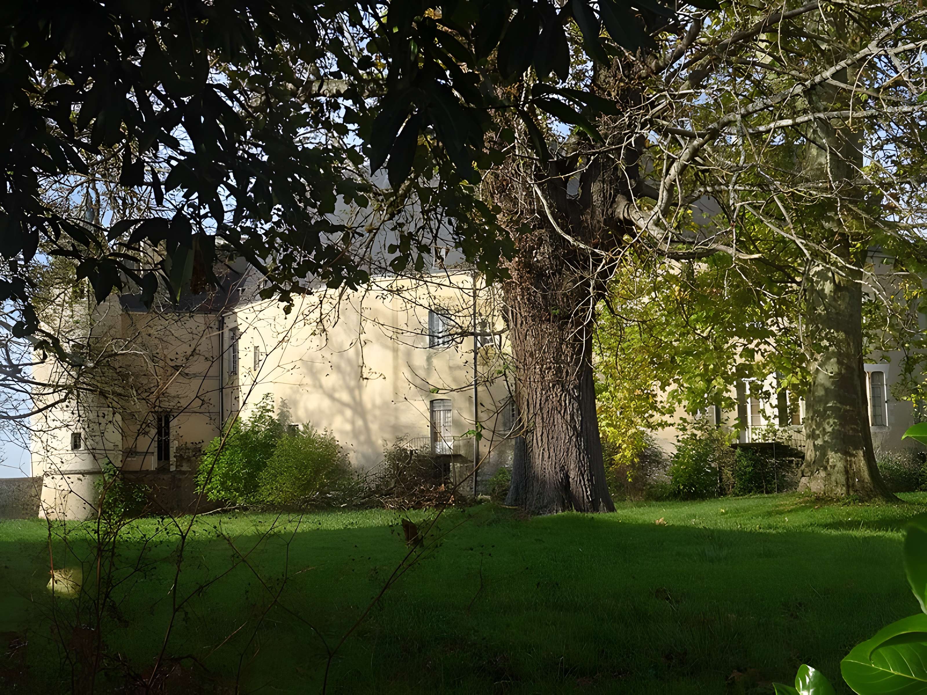 Château de Châteauneuf-sur-Cher
