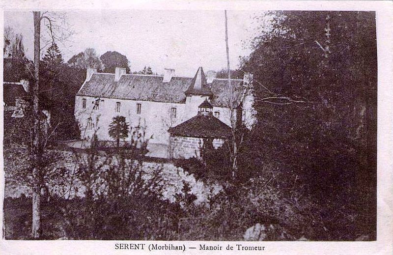 Photo de Manoir de Tromeur 