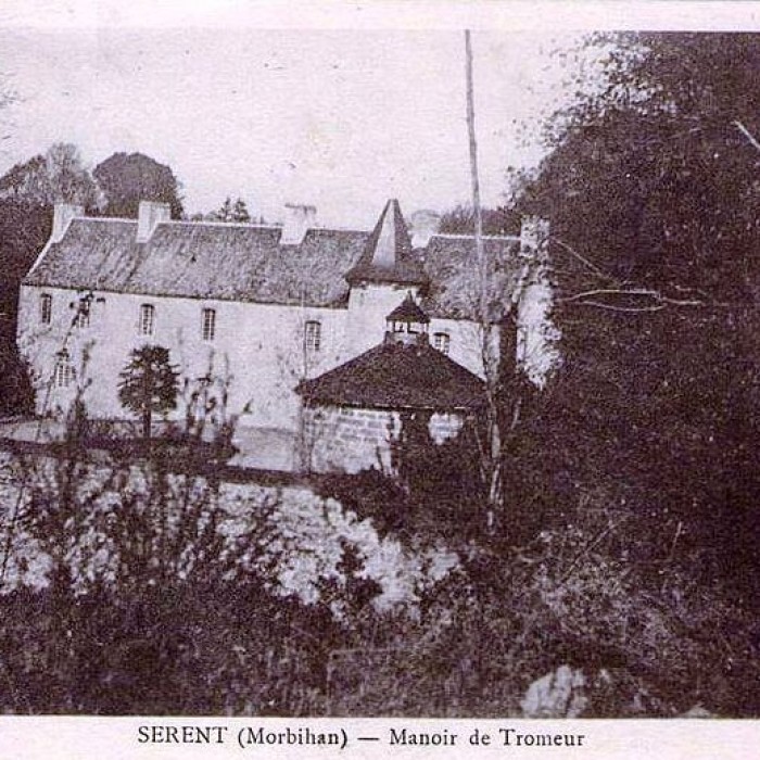 Photo de Manoir de Tromeur 