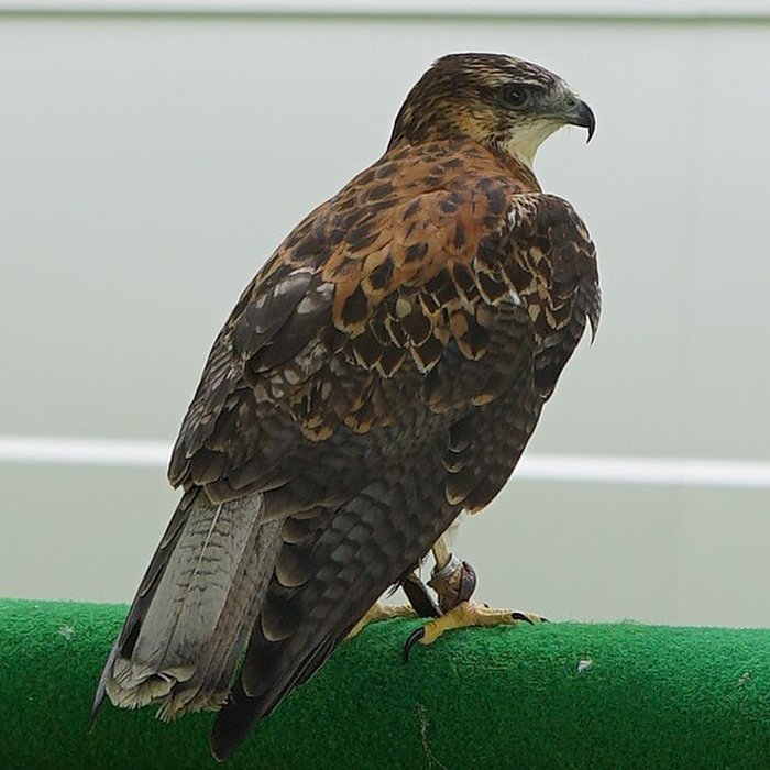 Photo de Château de Château-Thierry