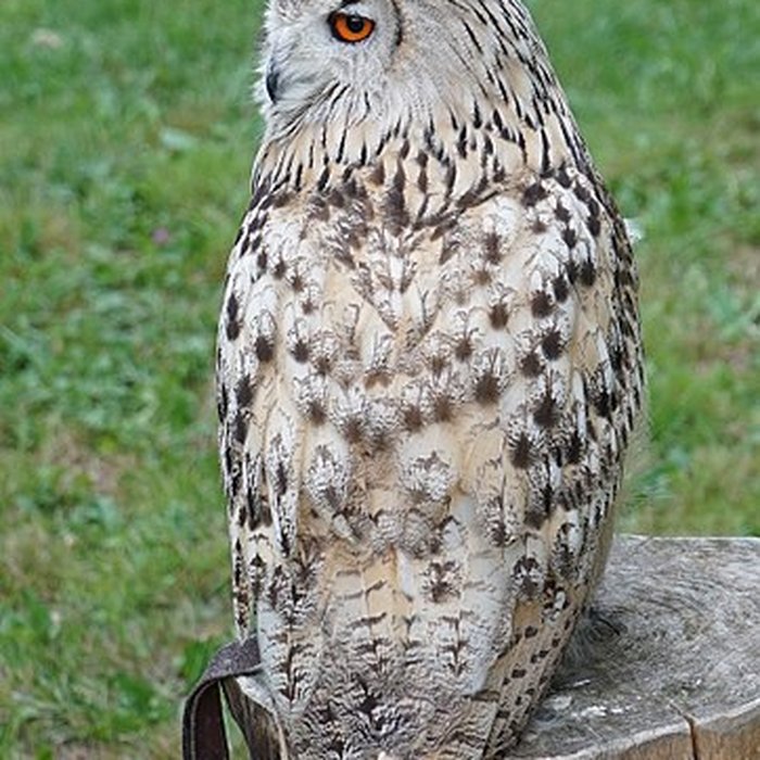 Photo de Château de Château-Thierry