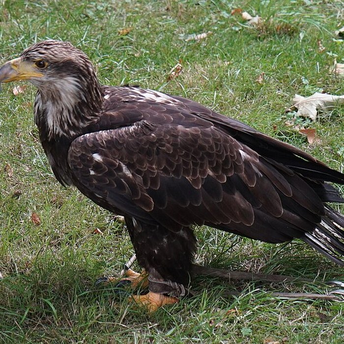 Photo de Château de Château-Thierry