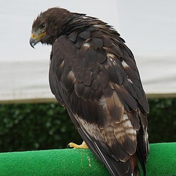 Château de Château-Thierry