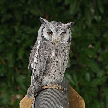 Château de Château-Thierry