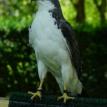 Château de Château-Thierry