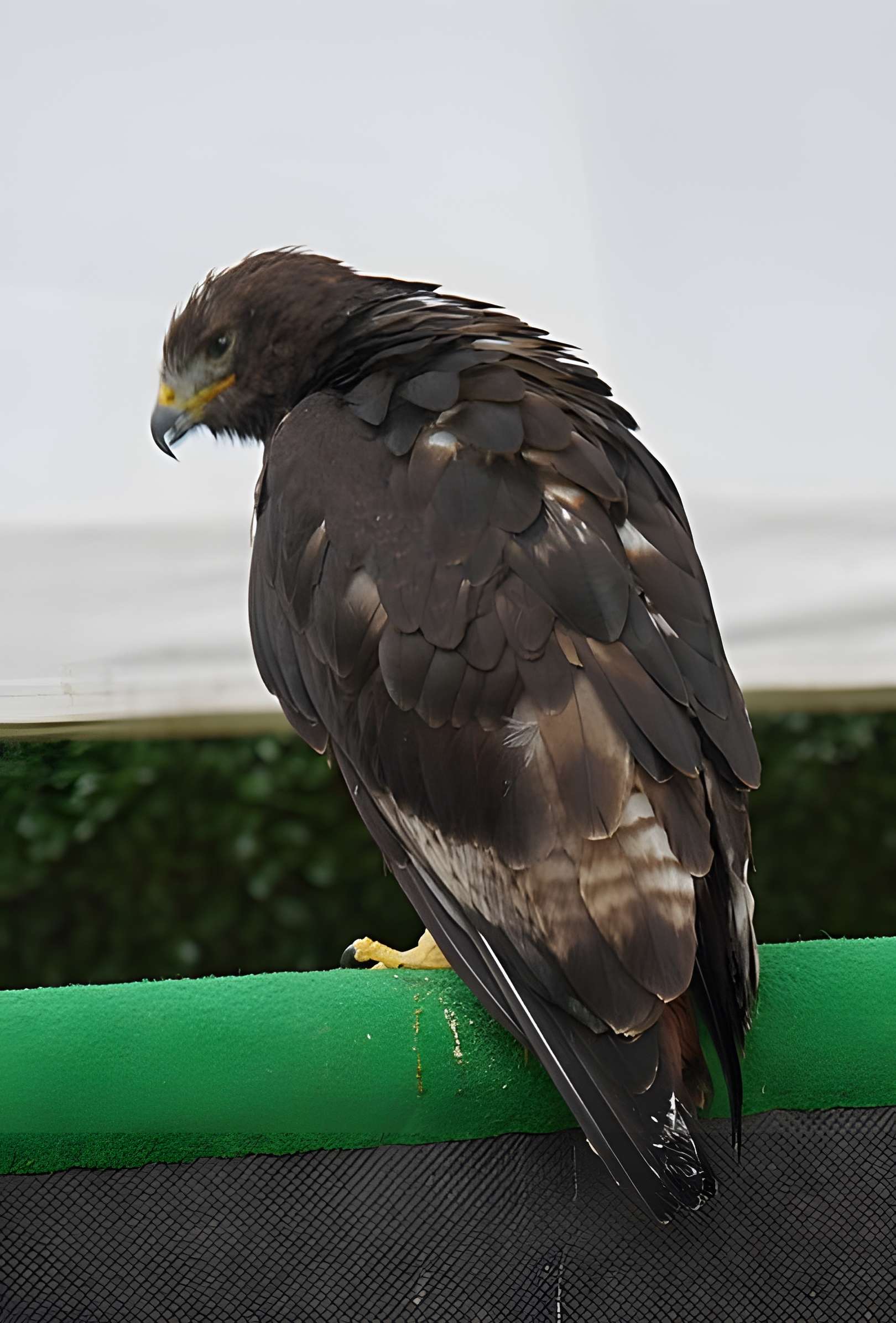 Château de Château-Thierry