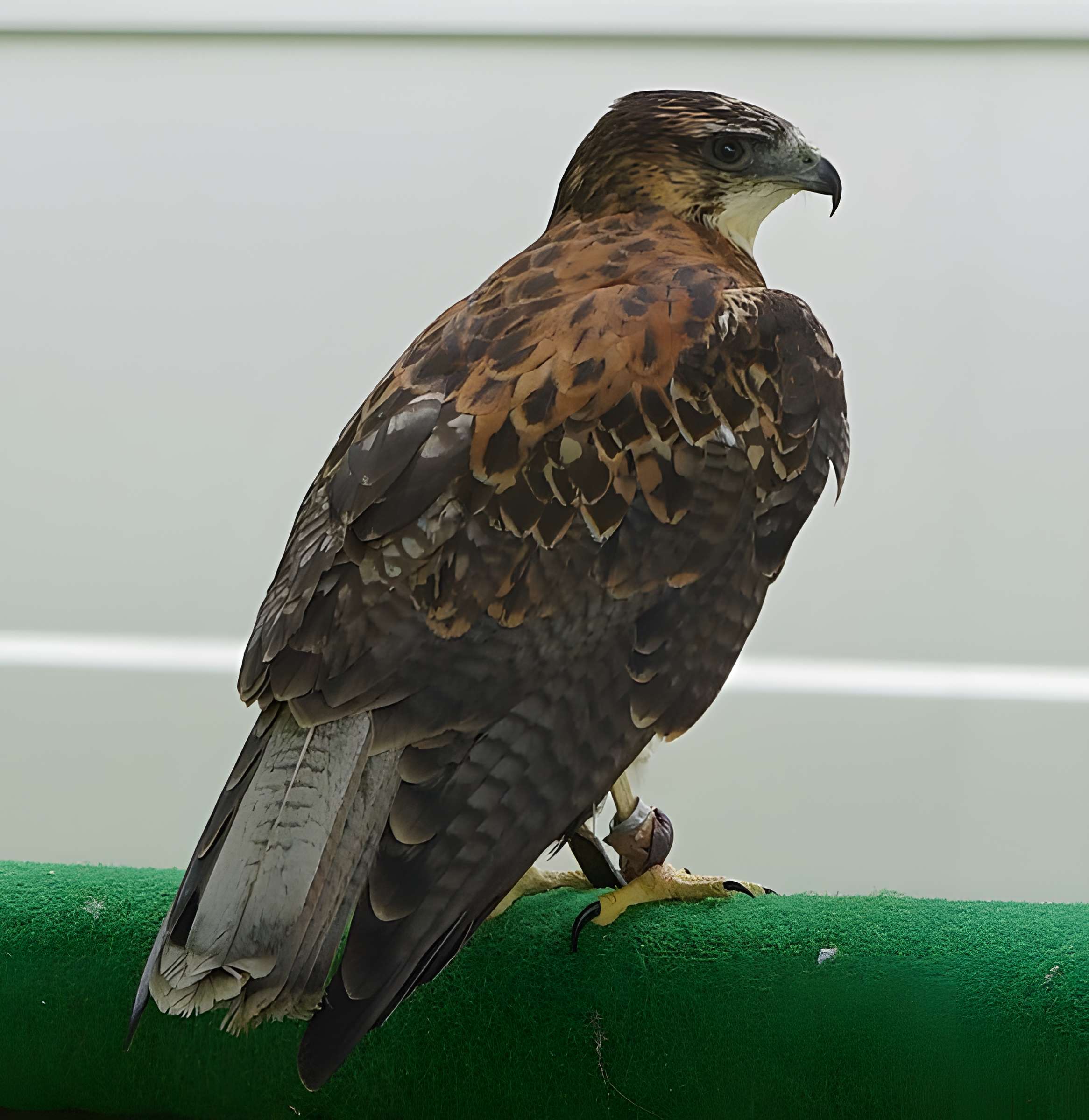 Château de Château-Thierry