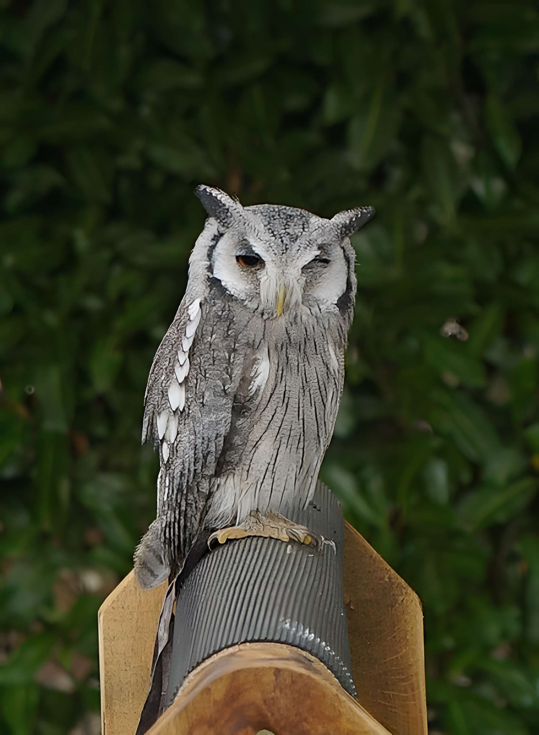 Château de Château-Thierry
