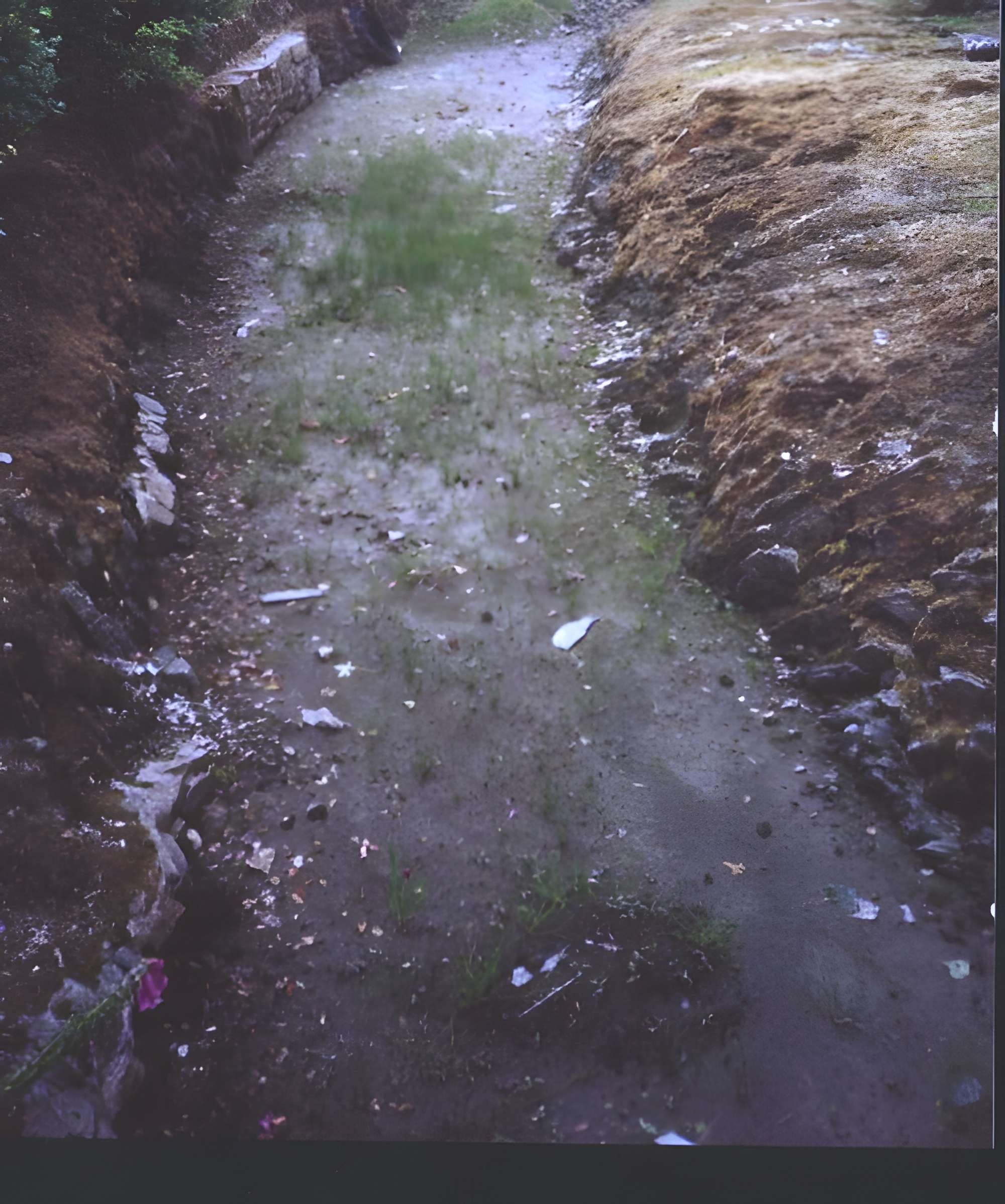 Manoir des Fossés de Plélan-le-Petit