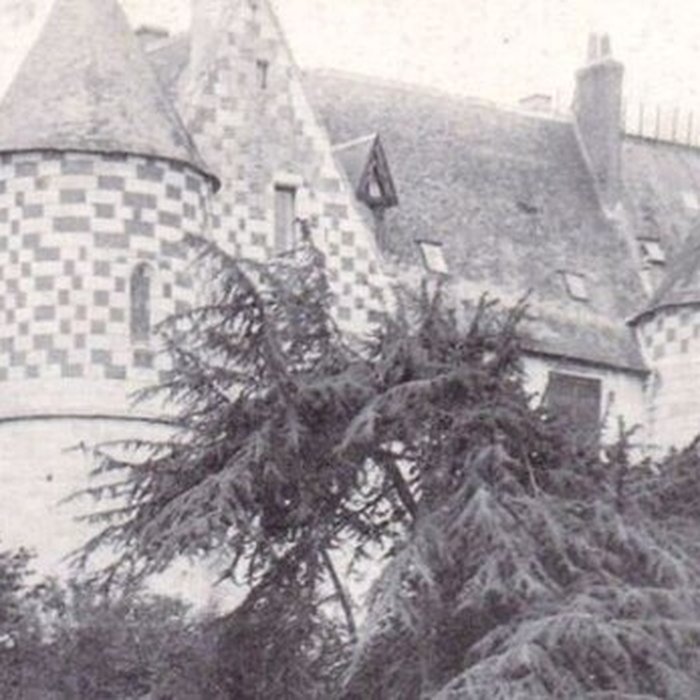 Photo de Château de Châtigny