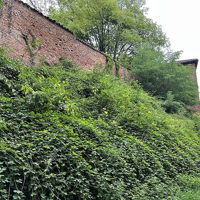 Photo de Château de Châtillon-sur-Chalaronne