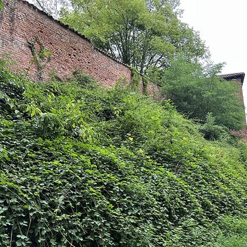 Château de Châtillon-sur-Chalaronne
