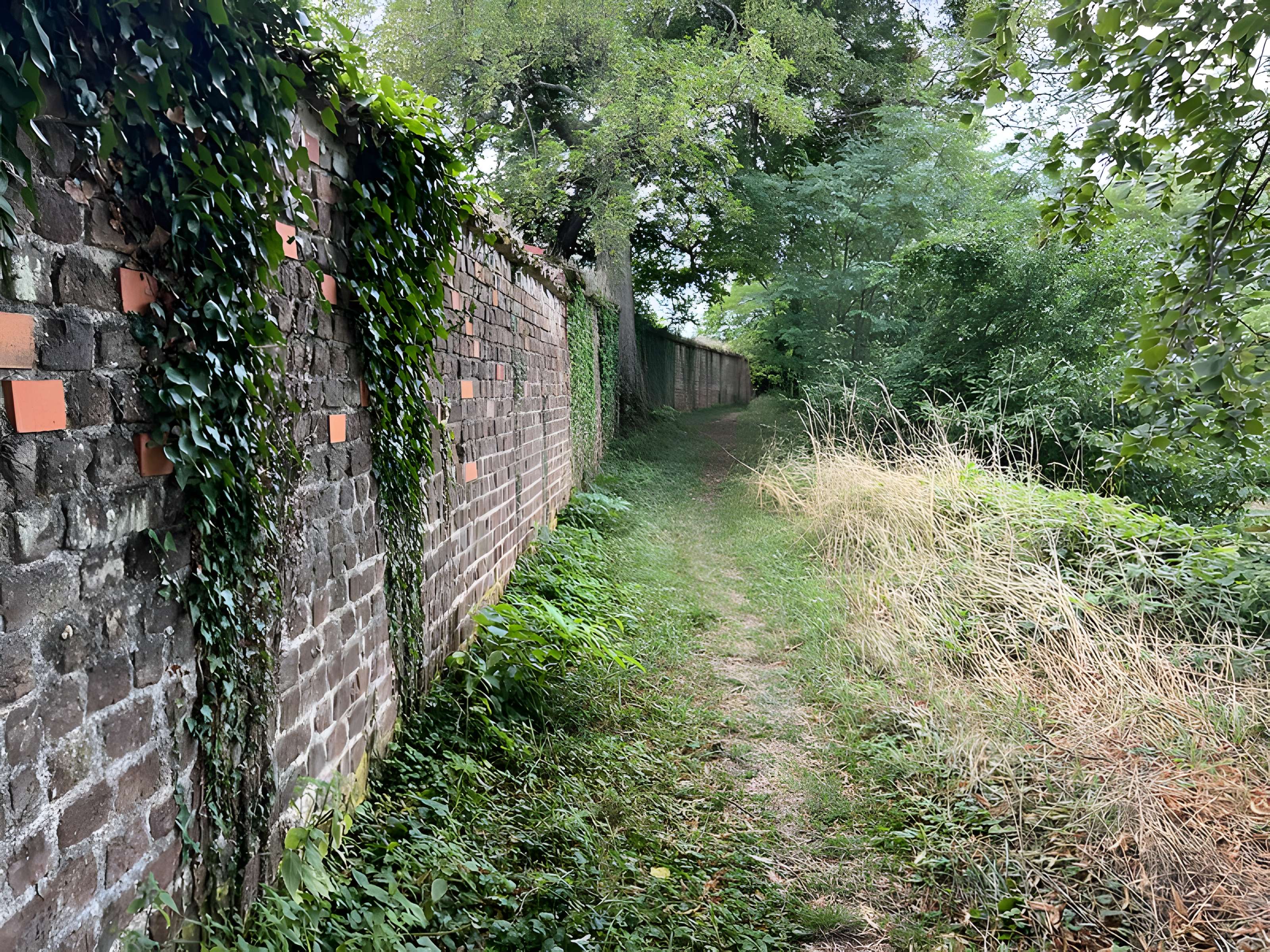 Château de Châtillon-sur-Chalaronne