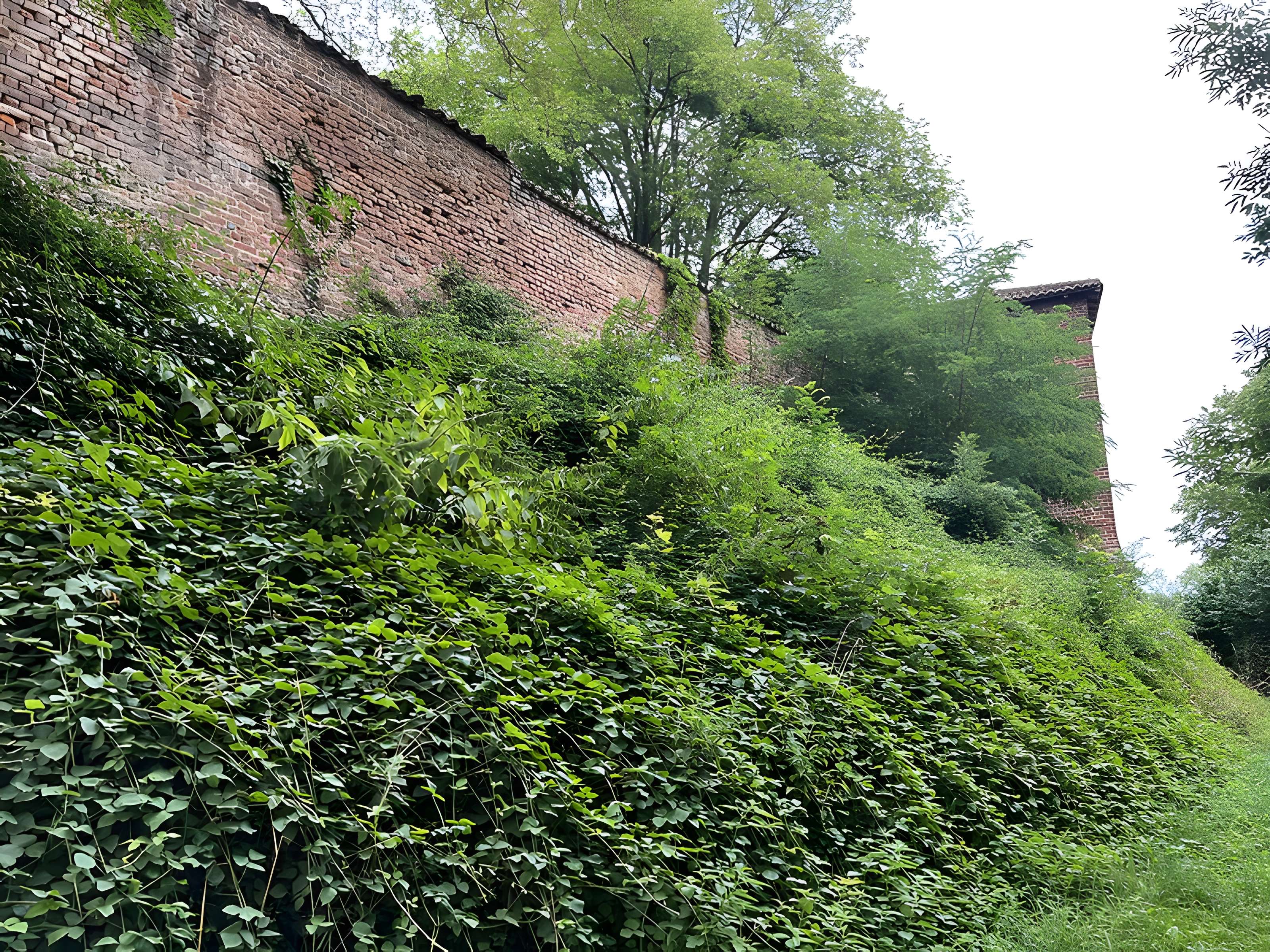 Château de Châtillon-sur-Chalaronne