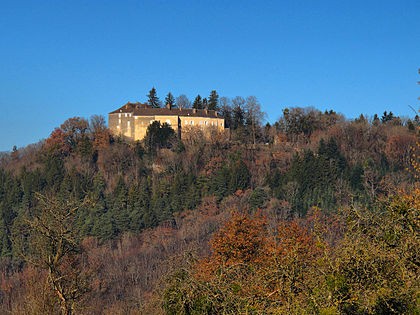 Photo de Château de Châtillon-sur-Lison