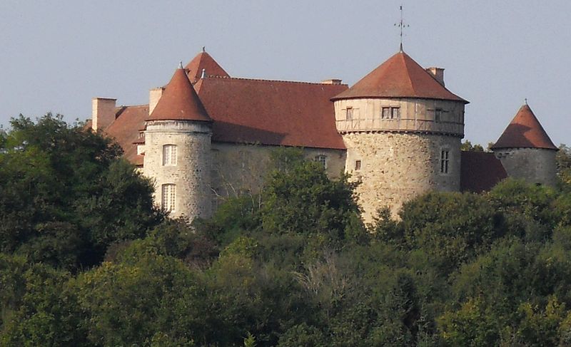 Photo de Château de Chaussins