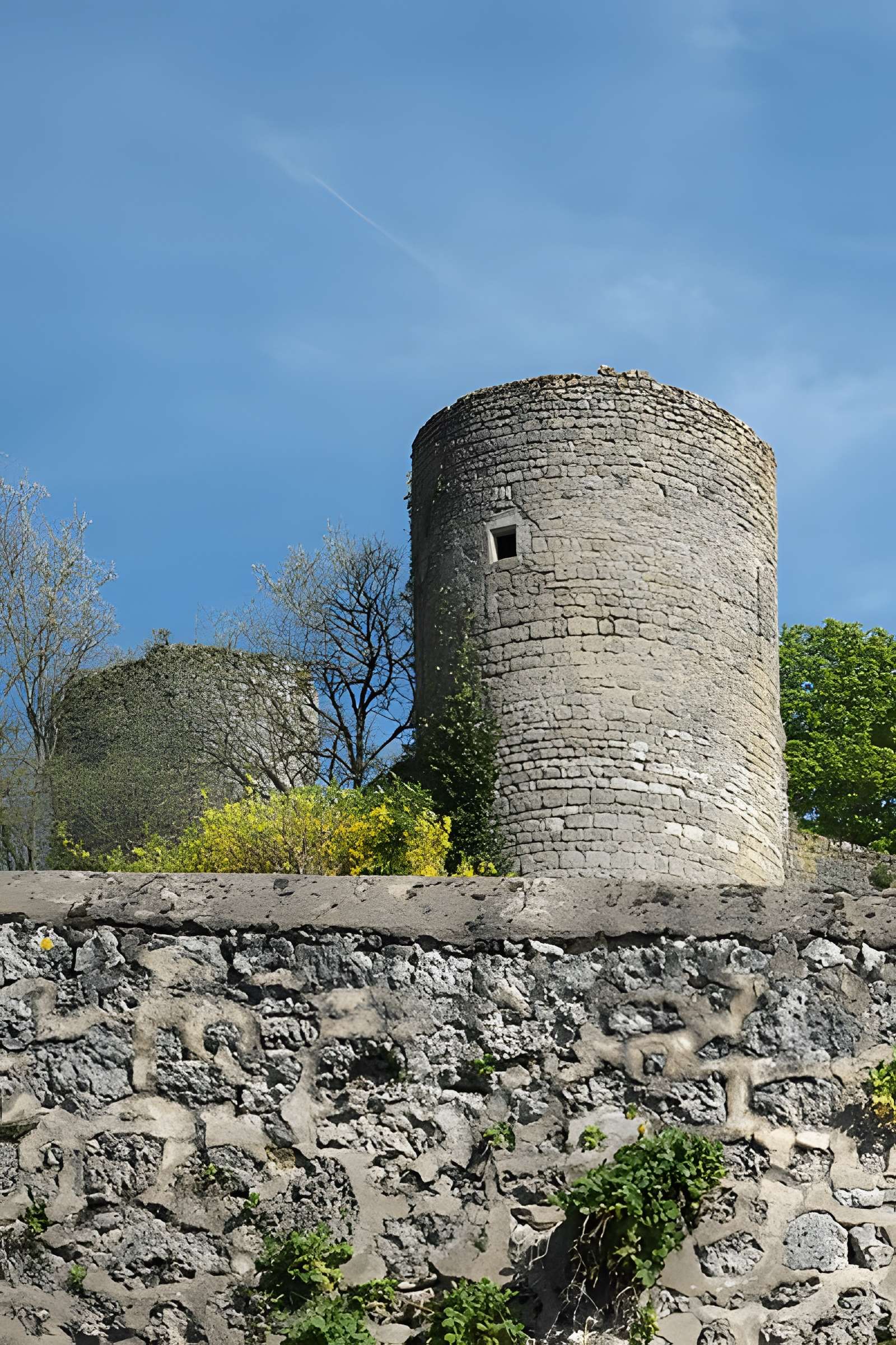 Château de Chavroches