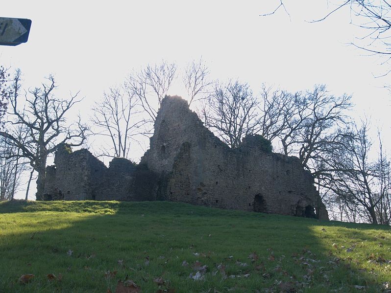 Photo de Château de Chelé