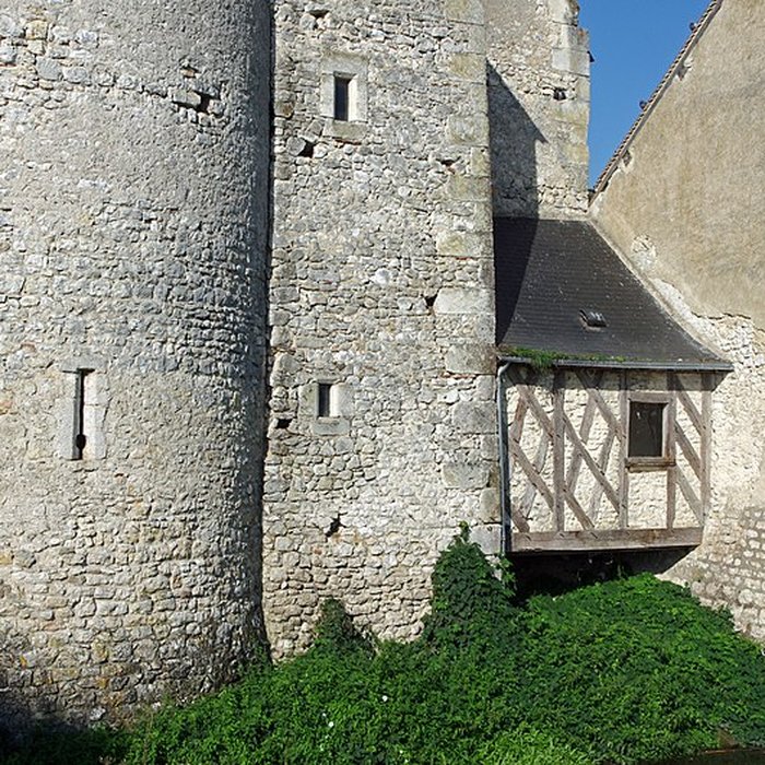 Photo de Château de Chémery