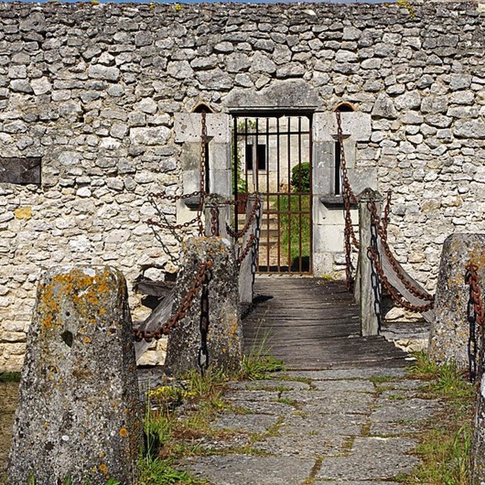 Photo de Château de Chémery