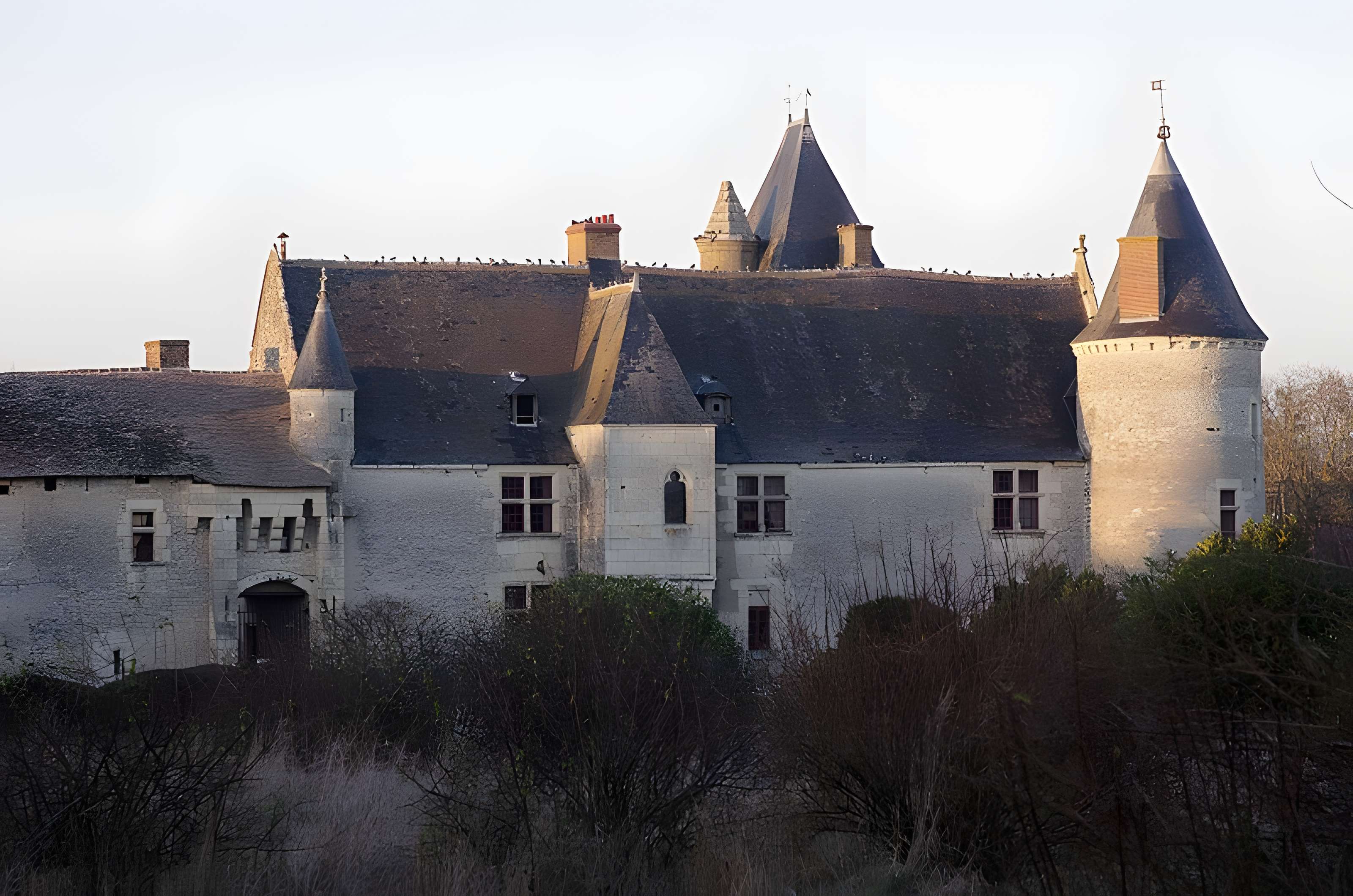 Château de Chémery
