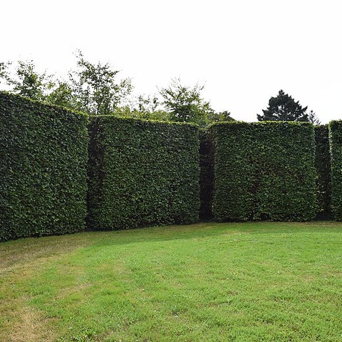 Photo de Manoir du Plessis-aux-Bois