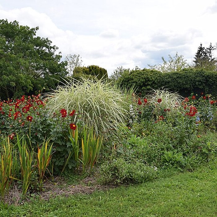 Photo de Manoir du Plessis-aux-Bois