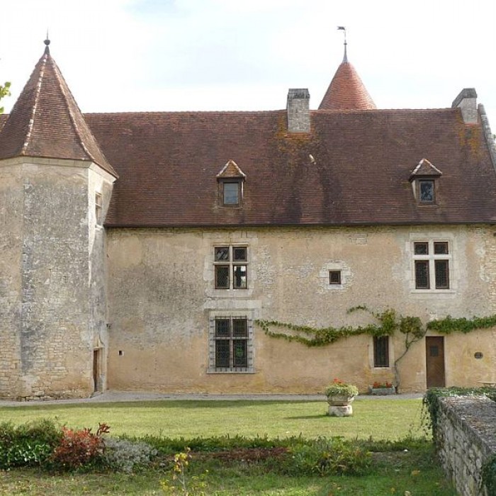 Photo de Château de Chenon