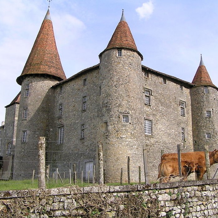 Photo de Château de Chillac