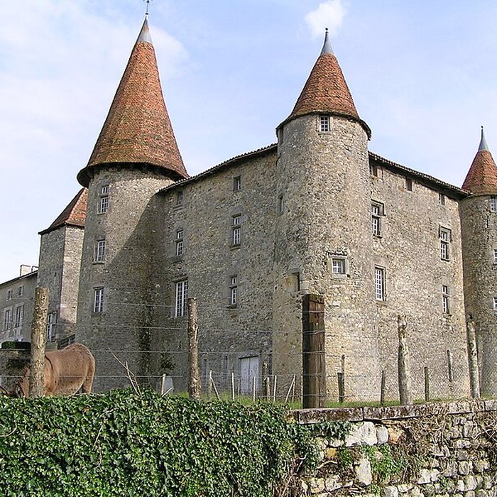 Photo de Château de Chillac