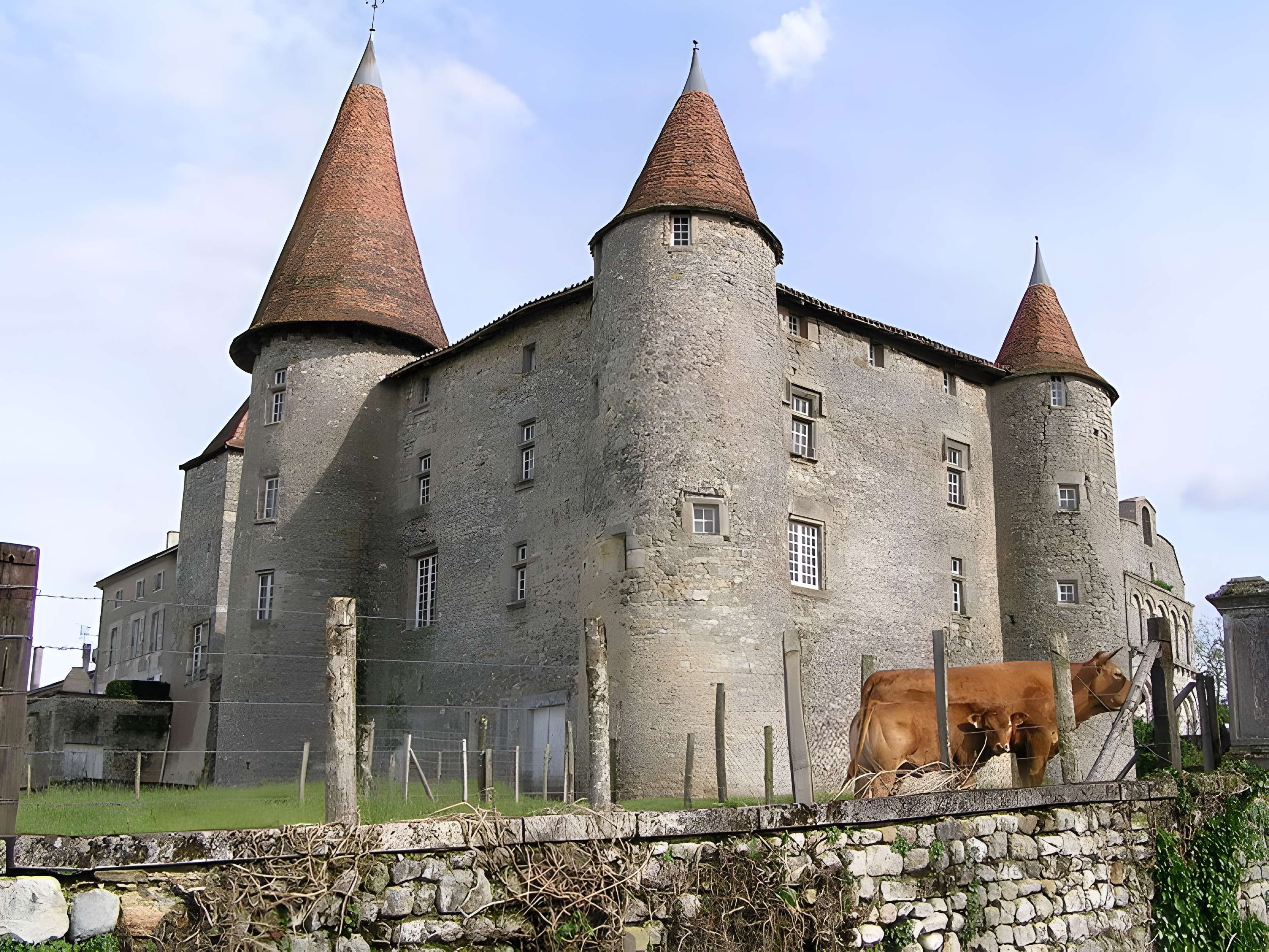 Château de Chillac 