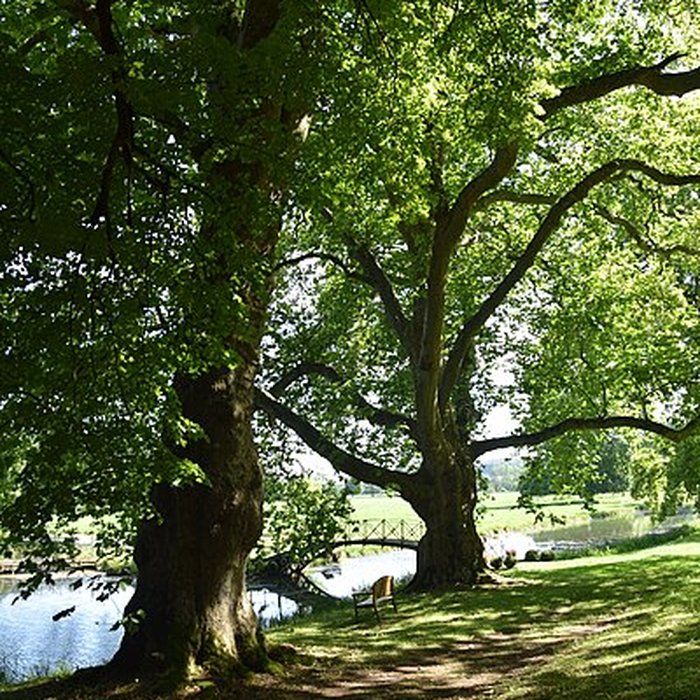 Photo de Château de Cirey